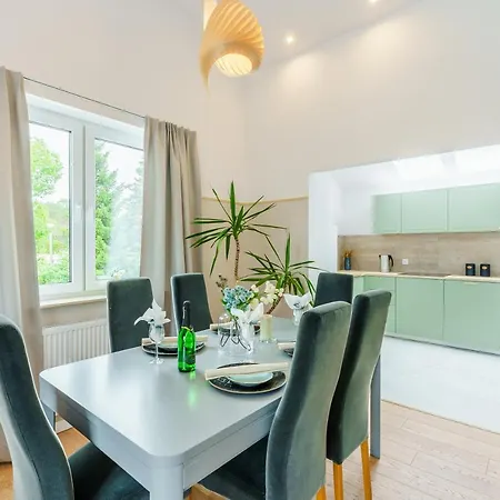 Lighthouse - Premium 드지비르지노