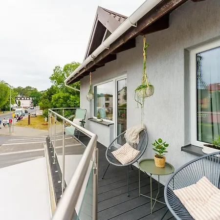 Lighthouse - Premium * 드지비르지노